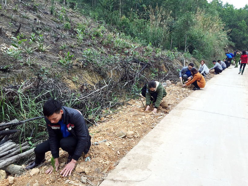 Huyện Đoàn Tiên Yên tổ chức trồng cây và dọn vệ sinh tại thôn Nà Phen, xã Yên Than, huyện Tiên Yên.