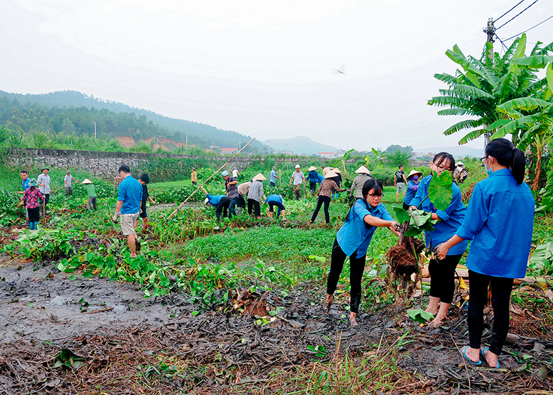 Đoàn viên Thành Đoàn Hạ Long dọn vệ sinh môi trường khu 4, phường Giếng Đáy trong “Ngày chủ nhật xanh”. 