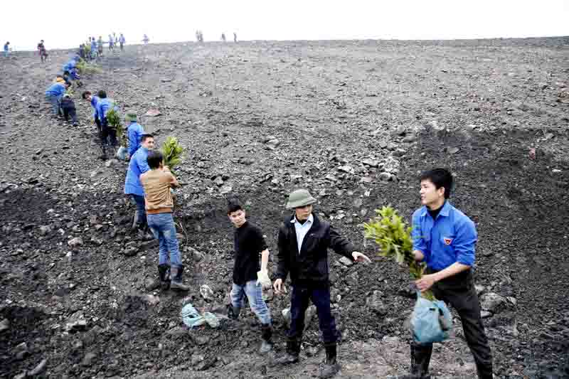 Tuổi trẻ Công ty TNHH MTV Môi trường - TKV ra quân trồng cây trên bãi thải vỉa 7, vỉa 8 Hà Tu.