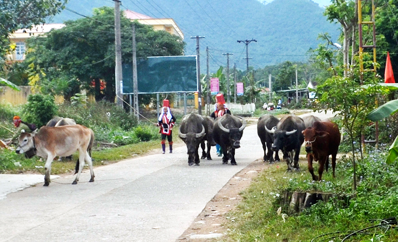 Các tuyến đường liên thôn, liên xã ở Quảng Sơn, huyện Hải Hà cơ bản được bê tông hoá, giúp người dân đẩy mạnh sản xuất.