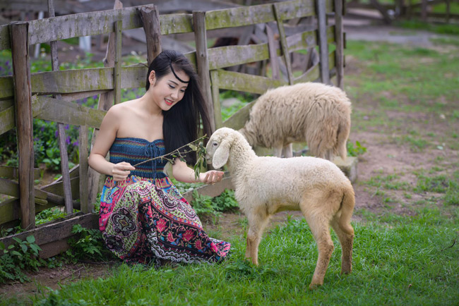 Theo Anh Phương, để có được những shoot hình đẹp bên cừu trắng, không cần tạo dáng quá cầu kỳ, chỉ cần vui chơi với chúng.