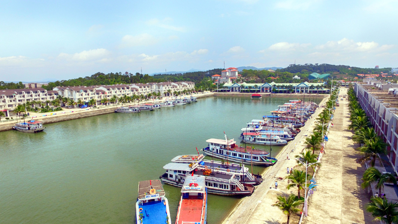 Quản lý tàu du lịch trên Vịnh Hạ Long: Phải đáp ứng được các tiêu chuẩn đặc thù