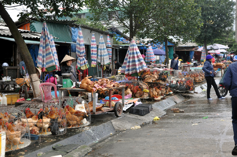 Vỉa hè trên đoạn đường vào Chợ 4 cũng đã biến thành nơi họp chợ, buôn bán gia cầm.