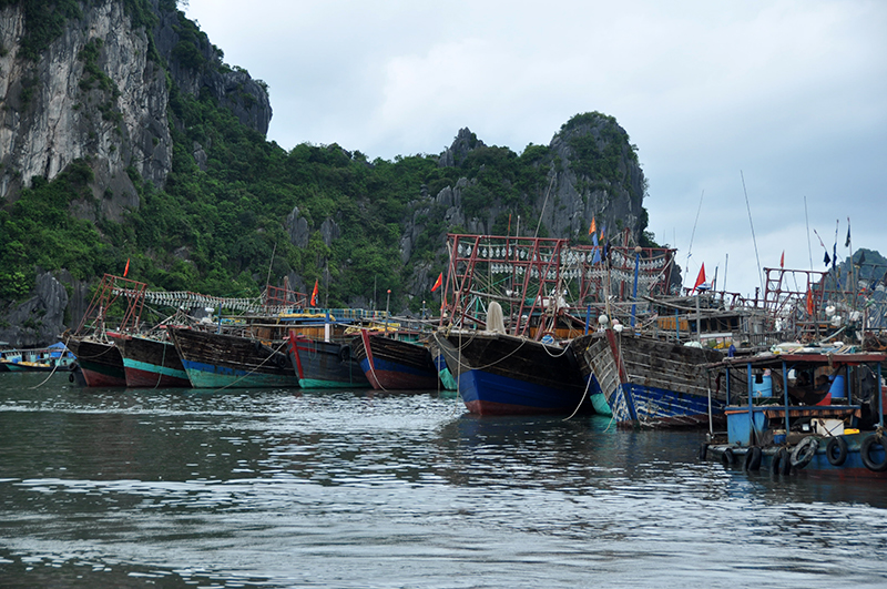 Tàu đánh bắt thuỷ sản xa bờ của ngư dân huyện Vân Đồn. Ảnh: Trần Minh