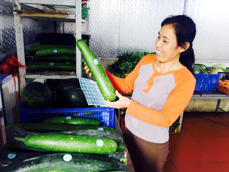 Sản phẩm bầu, bí xanh của Công ty TNHH MTV Thương mại & Dịch vụ lương thực Linh Nam (TP Hạ Long) được xác nhận sản phẩm an toàn.