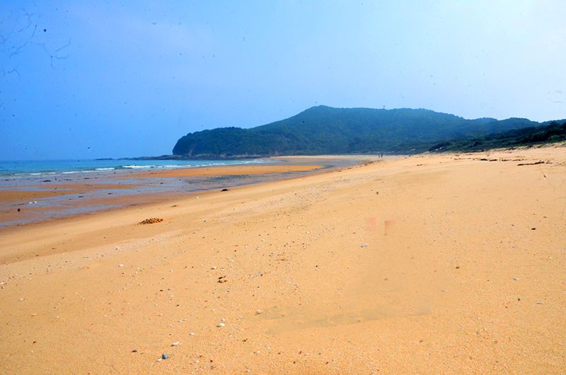 Nếu tìm kiếm sự thư thái, yên tĩnh, bạn có thể đến bãi biển Ba Châu (Thanh Lân) cát trắng, phẳng lì ngút tầm mắt.