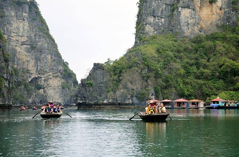 HTX Vạn Chài cung cấp dịch vụ chèo thuyền nan cho du khách tham quan làng chài Vung Viêng trên Vịnh Hạ Long.