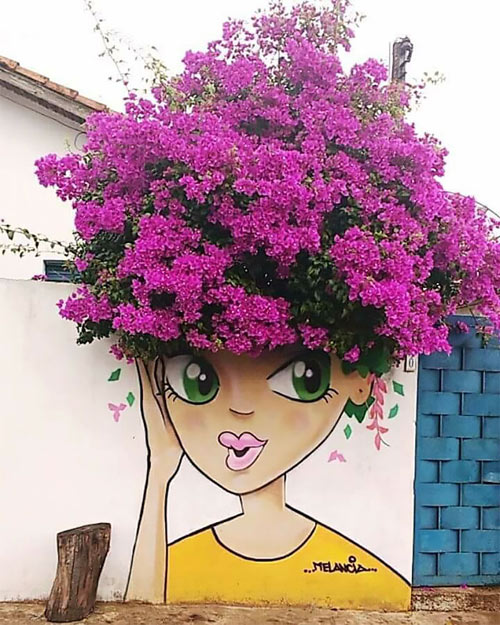 Nghệ thuật đường phố luôn gây bất ngờ và cảm hứng cho mỗi chúng ta. Chỉ cần một bụi hoa giấy trước cổng, con người cũng có thể biến thành một tác phẩm nghệ thuật tuyệt đẹp mà bất cứ ai đi qua cũng phải ngước đầu nhìn lại.