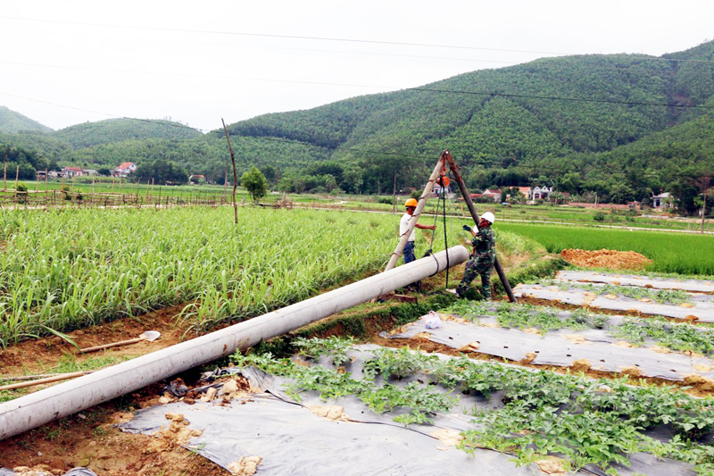 Dự án Cải tạo, nâng cấp lưới điện 22kV, đường dây 972 trung gian đoạn qua xã Sơn Dương, huyện Hoành Bồ đang được đẩy nhanh tiến độ, phấn đấu hoàn thành trước ngày 30-4.