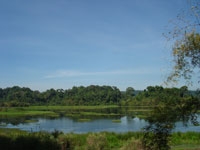 Vườn quốc gia Cát Tiên