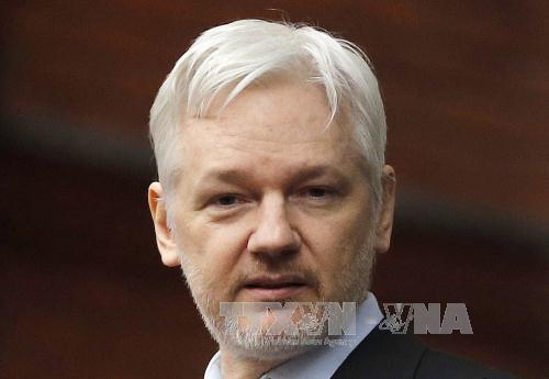 Nhà sáng lập Wikileaks Julian Assange tại đại sứ quán Ecuador ở London ngày 5/2/2016. Ảnh: AP/TTXVN