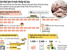 Giá thịt lợn giảm xuống mức thấp nhất từ trước đến nay