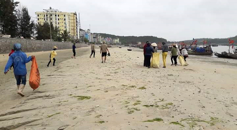 Người dân Cô Tô thu gom rác thải, rong rêu làm sạch bãi biển.