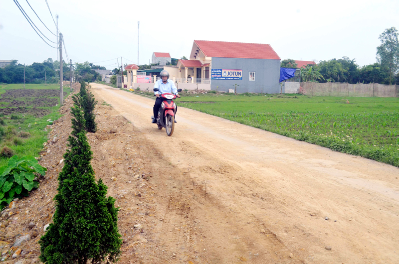 Hai bên đường thôn 3, xã Quảng Minh, huyện Hải Hà được người dân trồng hoa và cây cảnh để tạo cảnh quan.