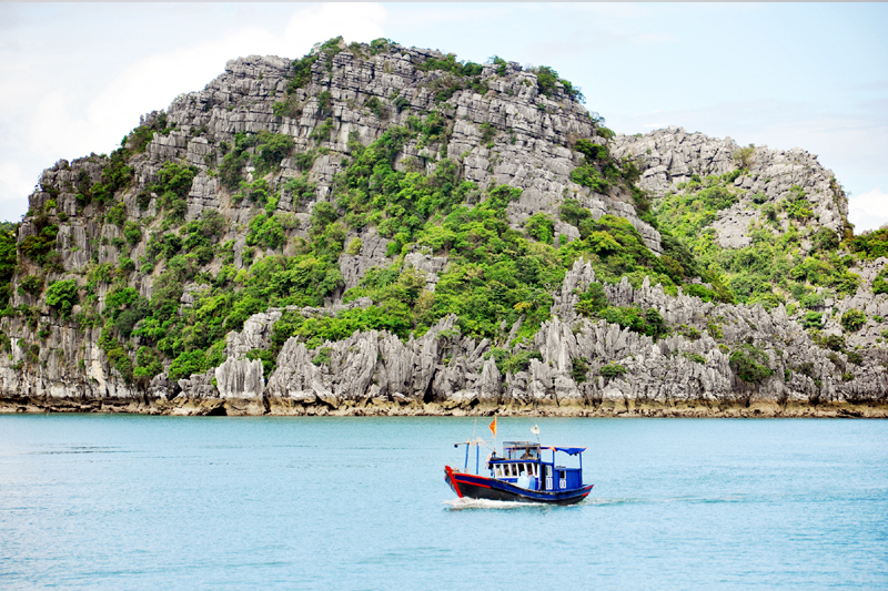 Vịnh Bái Tử Long với hàng trăm hòn đảo lớn nhỏ, hệ sinh thái rừng ngập mặn, rạn san hô, rừng cây nhiệt đới phong phú, là địa điểm khám phá ấn tượng.