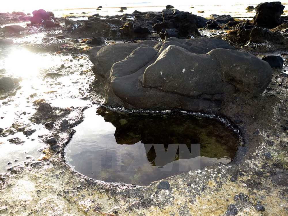 Trầm tích dung nham dưới sự bào mòn của nước biển tạo nên những hố nhỏ trông như những giếng nước. (Ảnh: Phước Ngọc/TTXVN) 