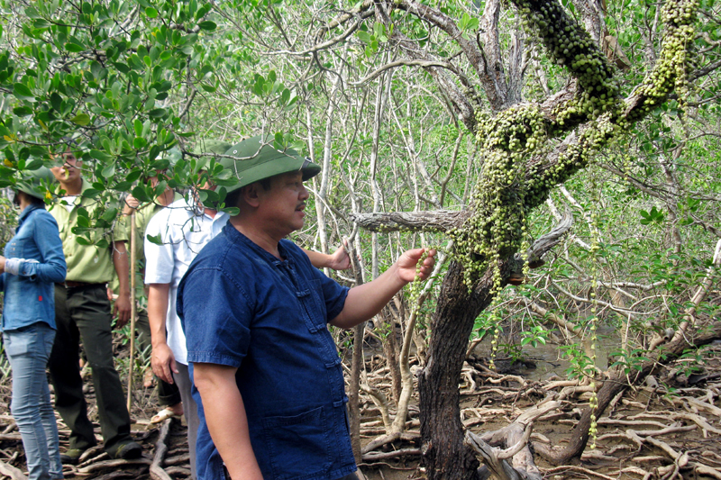 Điều tra thực địa về đa dạng sinh học tại Vườn Quốc gia Bái Tử Long.