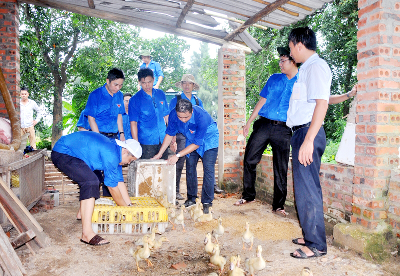 Trao tặng quà, hỗ trợ kỹ thuật chăn nuôi và tặng con giống cho các hộ nghèo xã Cái Chiên, huyện Hải Hà.