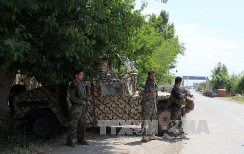 Binh sĩ Afghanistan trong chiến dịch truy quét tàn quân Taliban tại tỉnh Kunduz ngày 8/5. Ảnh: EPA/TTXVN