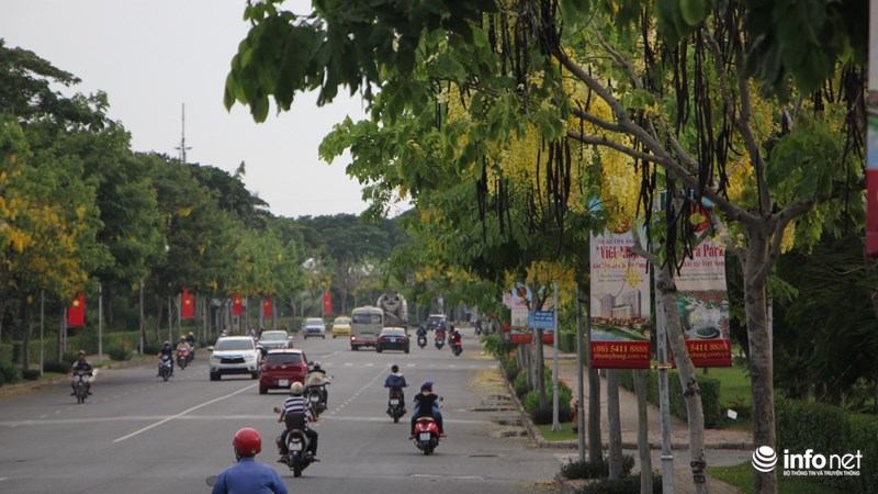 ... hay trải dọc trên đường lớn mang tên Trần Văn Trà, quận 7.