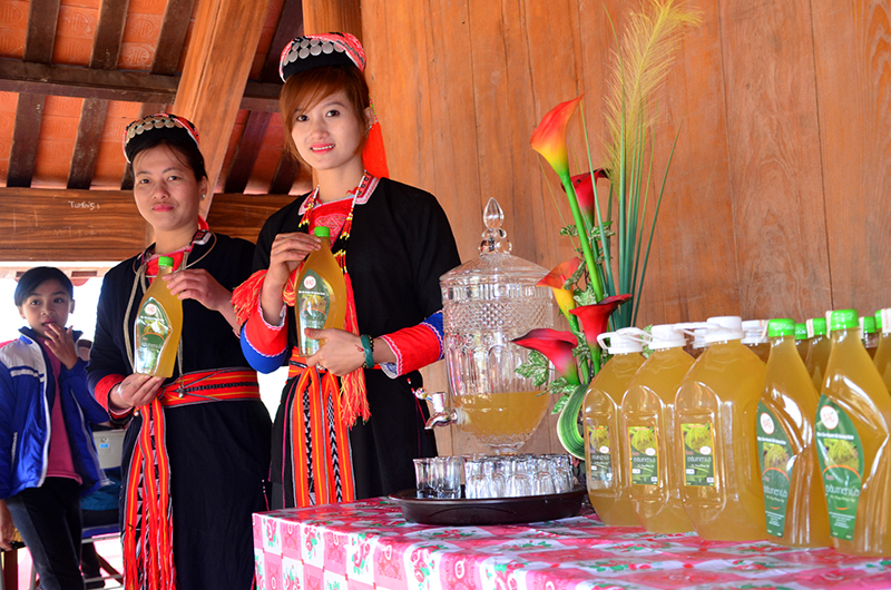 Thiếu nữ Dao Thanh Y ở Bằng Cả trong trang phục truyền thống.
