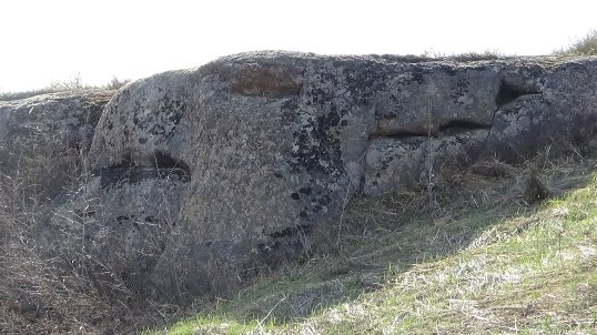 Nằm gần khối đá hình rồng là tảng đá hình điểu sư.