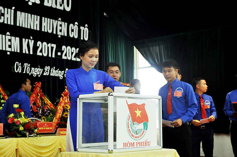 Các đại biểu bỏ phiếu bầu Ban Chấp hành khóa mới và bầu đoàn đại biểu tham dự Đại hội Đoàn TNCS Hồ Chí Minh Khối các cơ quan tỉnh nhiệm kỳ 2017-2022.