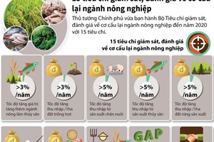 15 tiêu chí đánh giá về cơ cấu lại ngành nông nghiệp