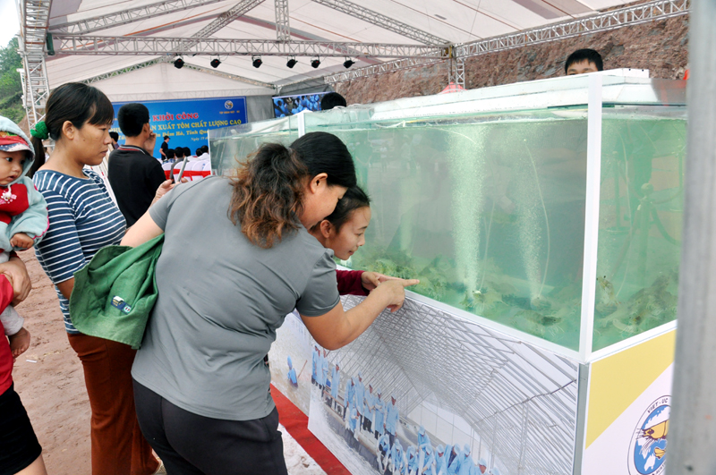 Người dân xã Tân Lập (huyện Đầm Hà) thăm gian trưng bày, giới thiệu sản phẩm tôm thương phẩm của Tập đoàn Việt - Úc tại lễ khởi công Khu phức hợp sản xuất tôm chất lượng cao.