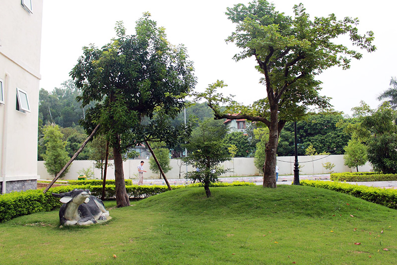 Thảm cỏ, cây xanh trong khuôn viên bệnh viện Sản nhi Quảng Ninh luôn được Tổ cây xanh chăm sóc chu đáo.