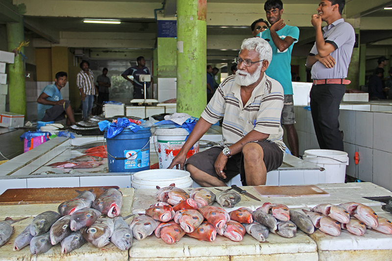 Chợ cá ở Male sầm uất.
