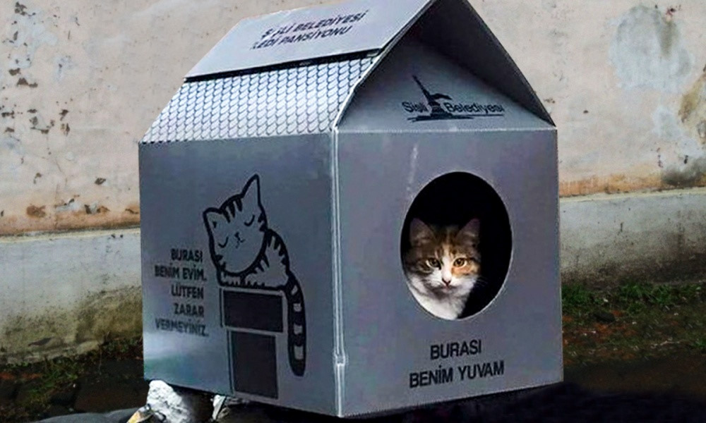 Tại Thổ Nhĩ Kỳ, người ta làm những căn nhà nhỏ bên đường cho mèo hoang. Trên 