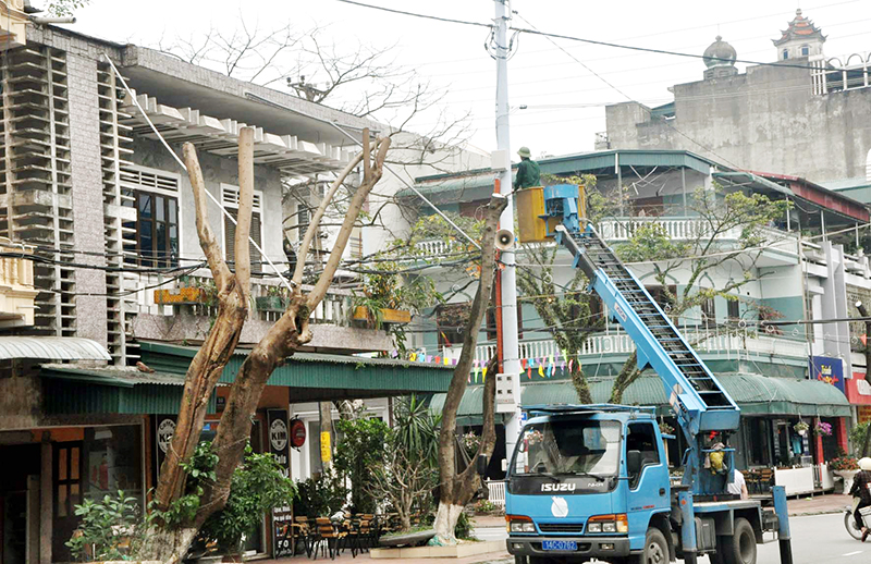 Các khu phố của phường Hòa Lạc chỉnh trang lại hệ thống dây điện, cáp viễn thông, cắt tỉa cây xanh tạo cảnh quan.