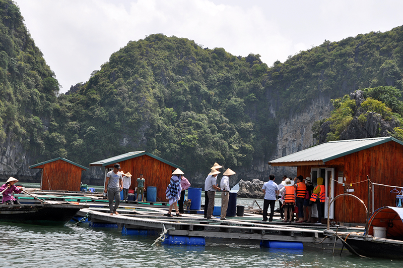 Khách du lịch tham quan mô hình nuôi trồng thuỷ sản bền vững tại Vung Viêng.