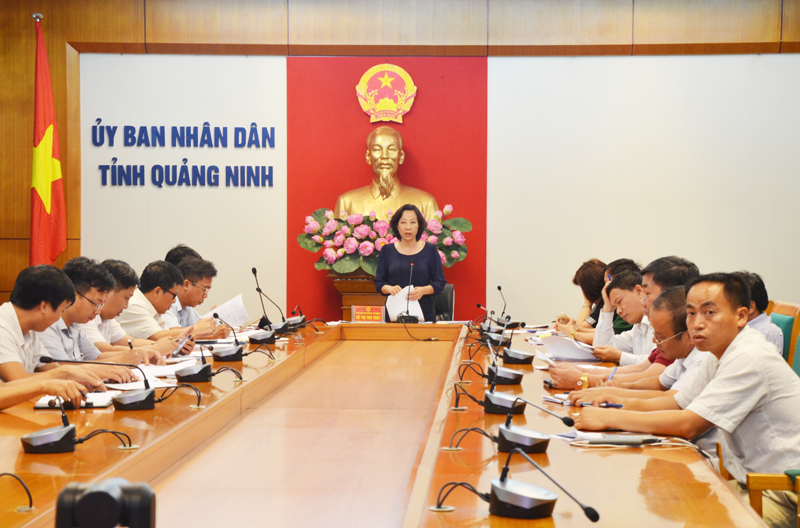 Phó Chủ tịch UBND tỉnh Vũ Thị Thu Thủy kết luận cuộc họp