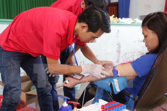 Sinh viên trường Đại học Bạc Liêu tham gia hiến máu tình nguyện. (Ảnh: Như Bình/TTXVN)