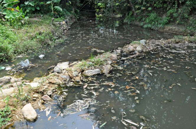 Khu vực suối chảy qua xóm Đồng Khuôn, thôn Vườn Rậm, huyện Hoành Bồ dù mới có lũ, nhưng nước vẫn đen ngòm do người dân vứt rác thải bừa bãi.