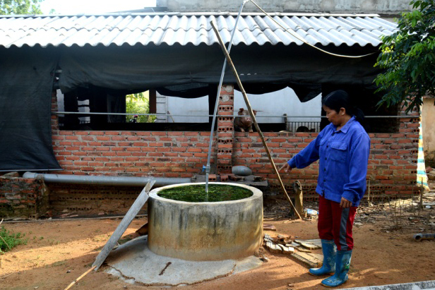 Gia đình bà Huỳnh Thị Yên, thôn Thượng 2, xã Tràng An sử dụng hầm biogas để xử lý chất thải chăn nuôi.