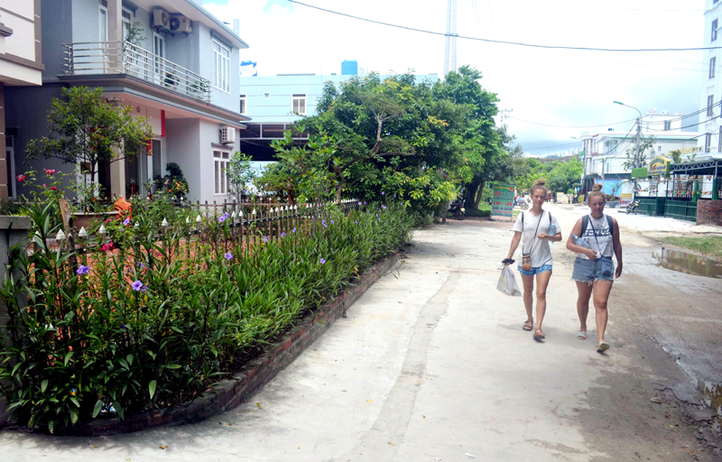 Hầu hết các ngôi nhà ven đường trục chính thôn Ninh Hải, xã Minh Châu đều trồng hàng rào hoa.