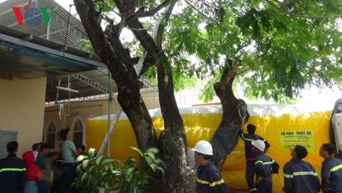 Lực lượng cứu hộ dùng túi khí đặt dưới gốc cây tìm phương án giải cứu đối tượng.