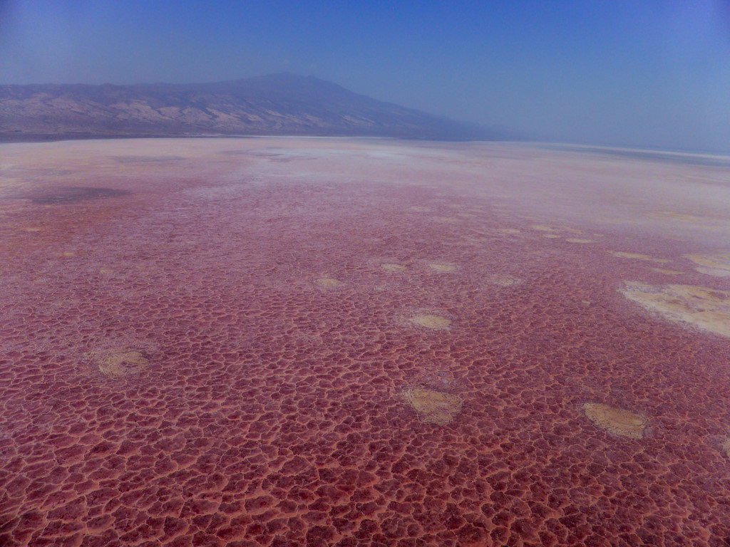 Hình ảnh này có khiến bạn liên tưởng đến cảnh trên sao Hỏa, thường thấy trong các phim khoa học viễn tưởng? Sự thực đó ảnh chụp từ trên cao của hồ nước Natron ở Tanzania. Màu sắc của hồ nước là do nhiệt độ lên tới 120oc và mức PH thấp, là nơi nuôi dưỡng hoàn hảo cho một loài tảo màu hồng phát triển. Ảnh: Valexus.ch.