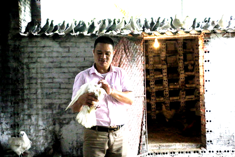 Anh Nguyễn Bá Tâm đang có dự định mở rộng quy mô trang trại nuôi gia cầm, trồng cây ăn quả từ nguồn vốn vay Quỹ HTND.