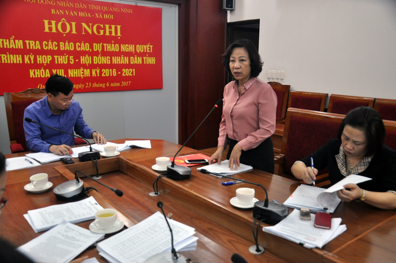 Đồng chí Vũ Thị Thu Thuỷ, Phó Chủ tịch UBND tỉnh phát biểu tại buổi thẩm tra