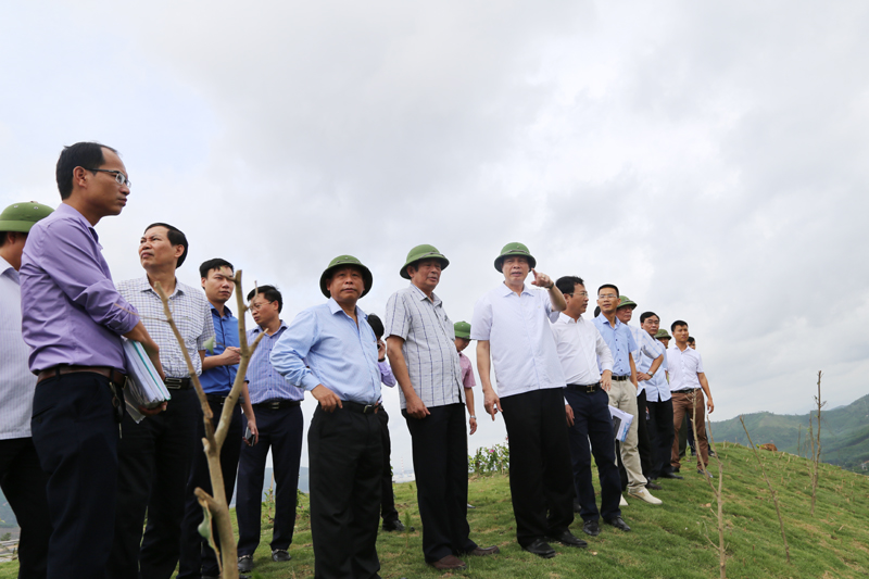 Chủ tịch UBND tỉnh Nguyễn Đức Long kiểm tra tiến độ dự án Công viên An Lạc của Công ty CP Tập đoàn Indevco, huyện Hoành Bồ