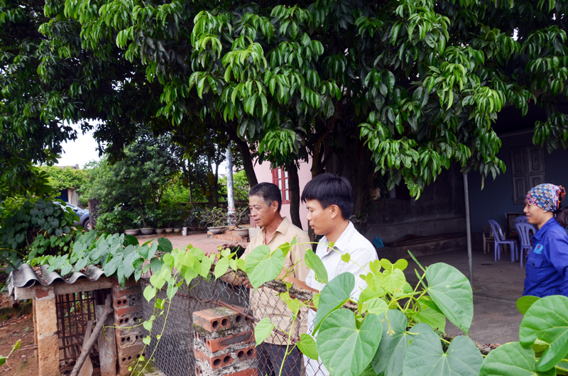 Hộ ông Đỗ Mạnh Hùng, thôn Khê Thượng, xã Việt Dân làm hàng rào cây xanh, tạo cảnh quan sạch - đẹp trong sân, vườn.