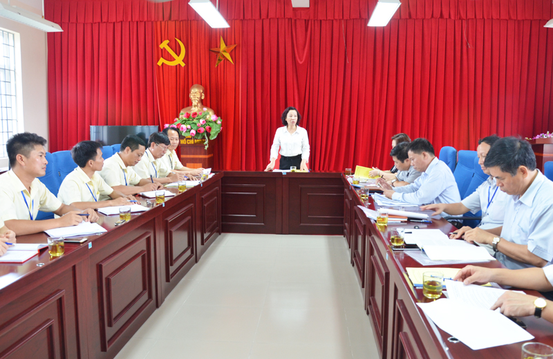 Đồng chí Vũ Thị Thu Thủy, Phó Chủ tịch UBND tỉnh kết luận buổi làm việc