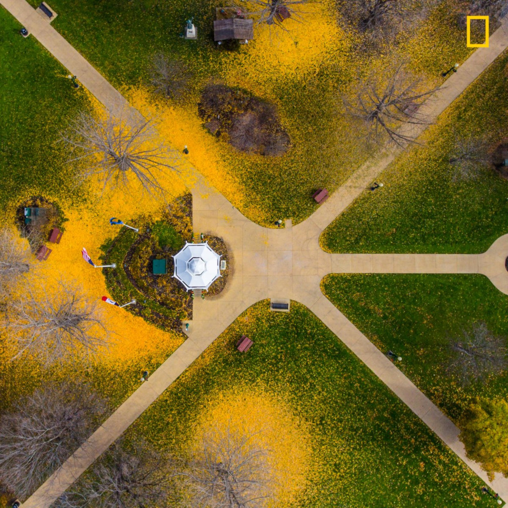 Lá vàng phủ ngập lối đi trong công viên ở Dubuque, Iowa, Mỹ.