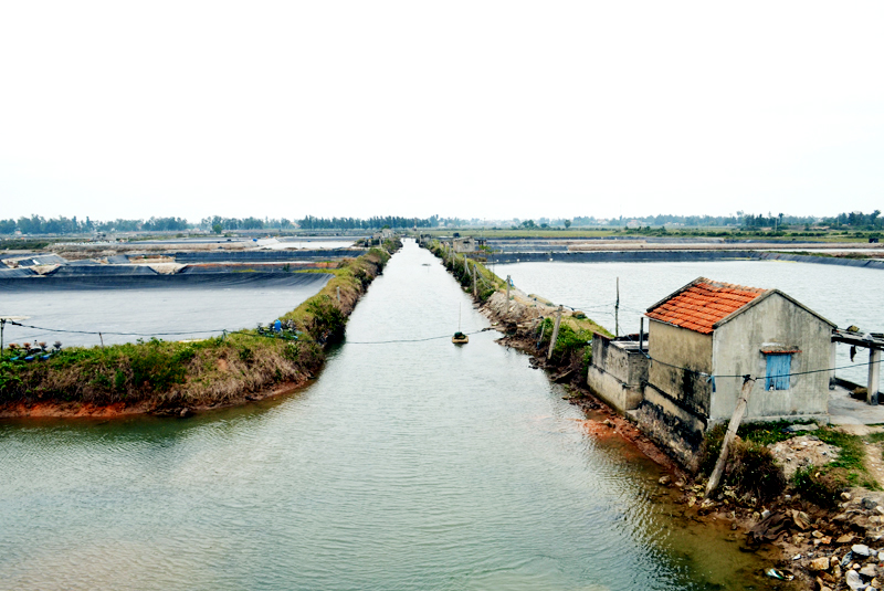 Tại vùng nuôi tôm tập trung khu Lượng Gió (phường Bình Ngọc, TP Móng Cái), tuyến kênh lấy nước cấp vào cũng là công trình chứa nước thải ra, tiềm ẩn nguy cơ phát sinh và lây lan bệnh dịch.   