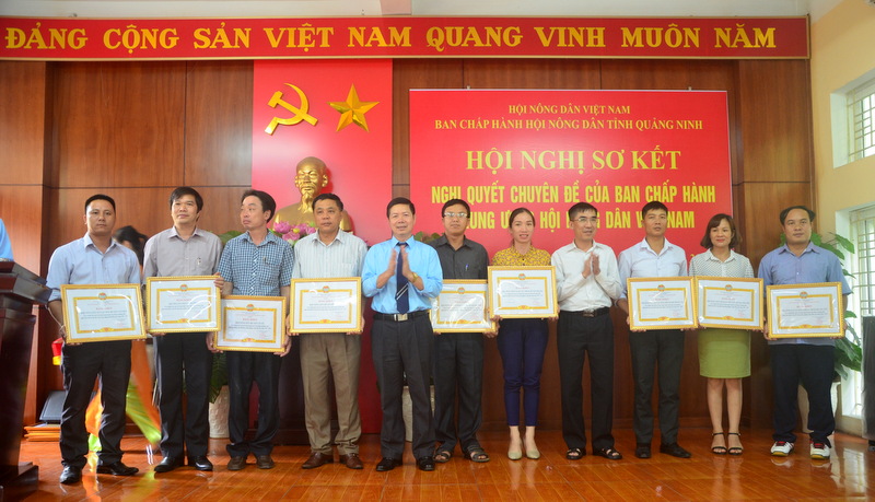Chủ tịch Hội Nông dân tỉnh trao tặng bằng khen cho các tập thể và cá nhân có thành tích xuất sắc trong thực hiện Nghị quyết chuyên đề 04 của Trung ương Hội Nông dân Việt Nam