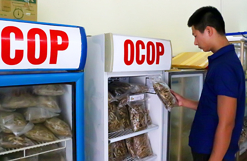 Người tiêu dùng chọn mua sản phẩm OCOP cá ruội khô Cô Tô.
